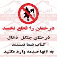  علائم ایمنی درختان جنگل را قطع نکنید